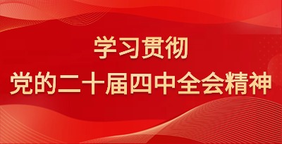 学习贯彻党的二十届四中全会精神